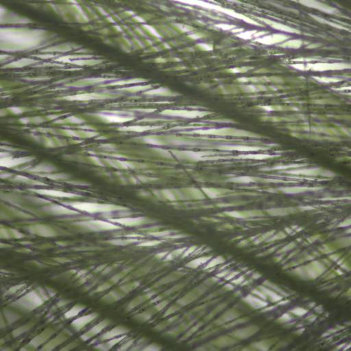 Parasitológico de raspado cutâneo