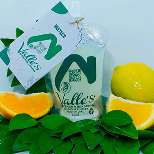 Comprar o produto de Multiuso em Produtos de Limpeza Naturais - Veganos pela empresa Valle's em Jaú, SP por Solutudo