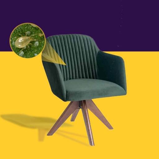 Eliminação de ácaros em sofás em Botucatu