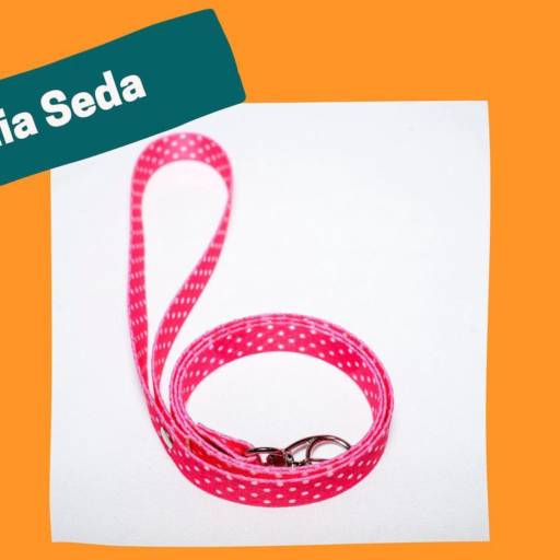 Comprar o produto de Guia Seda  em Guias e Coleiras pela empresa Patas Molhadas Petshop  em Foz do Iguaçu, PR por Solutudo