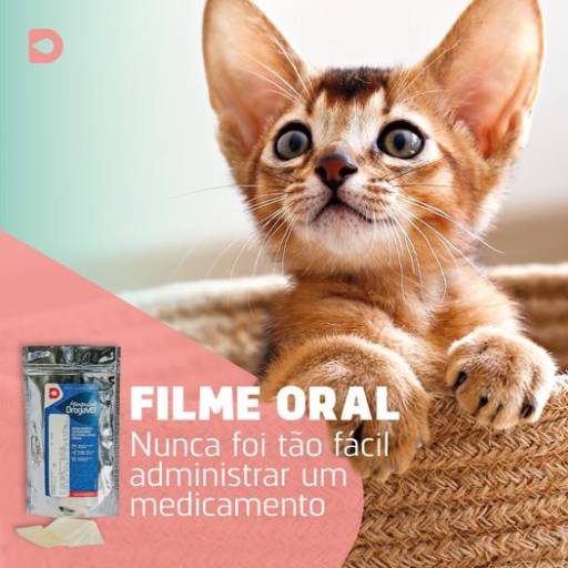 Filme Oral em Bauru  por DrogaVET - Farmácia de Manipulação Veterinária
