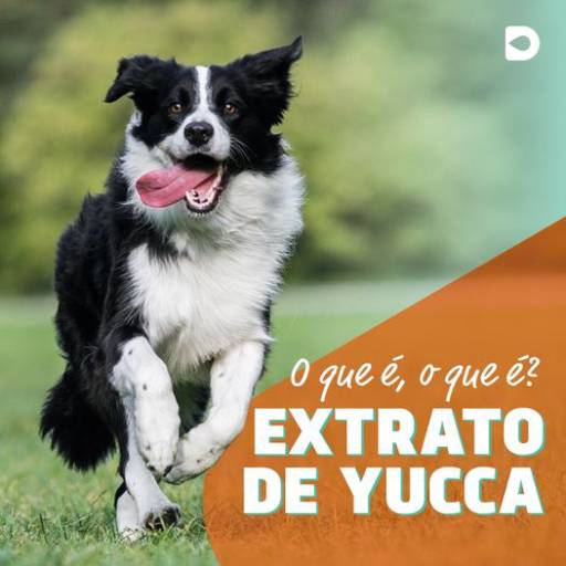 Extrato de yucca em Bauru por DrogaVET - Farmácia de Manipulação Veterinária