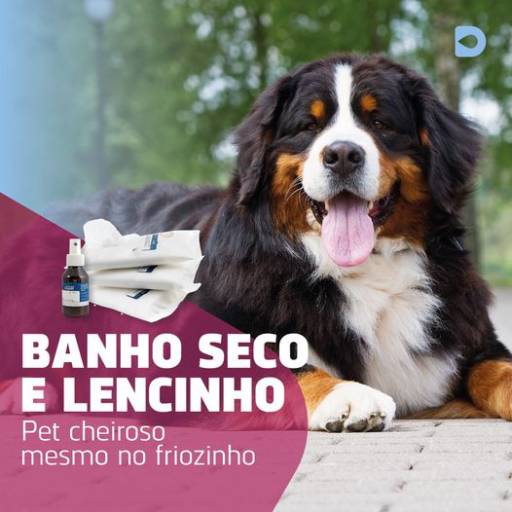 Lencinhos umedecidos para banho pet a seco em Bauru