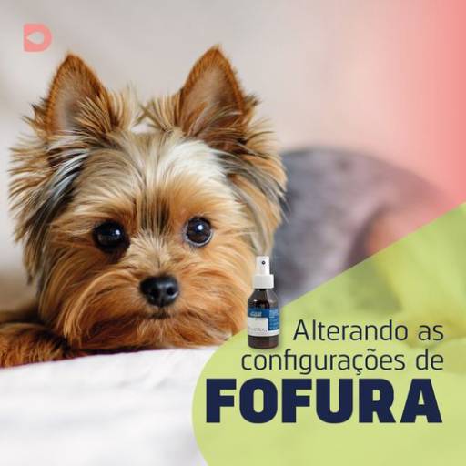 Leave-in pet em Bauru