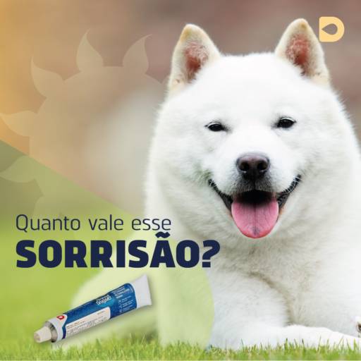 Pasta de dente veterinária em Bauru