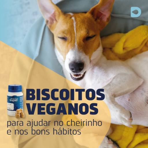 Biscoito para mau hálito pet em Bauru