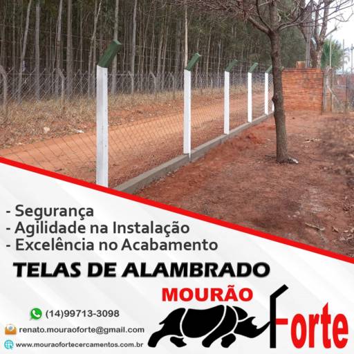 Comprar o produto de Telas de Alambrado em Muros e Cercas  pela empresa Mourão Forte Cercamentos em Marília, SP por Solutudo