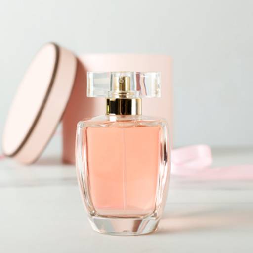Comprar o produto de Perfumes femininos importados em Perfumes e Fragrâncias pela empresa EG Store  em Marília, SP por Solutudo