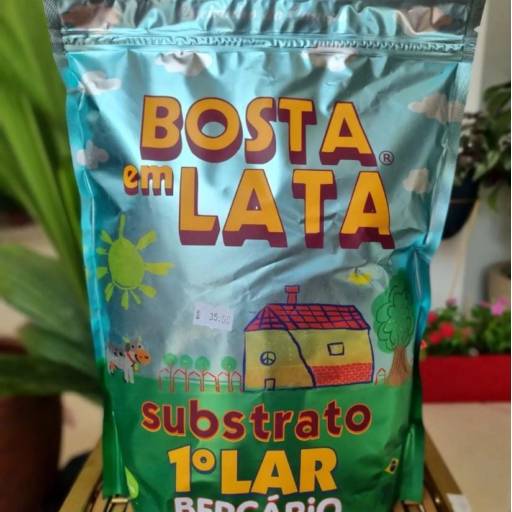 Bosta em lata por Vasos Decor