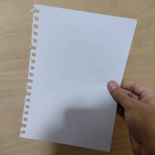 O papel da sociedade