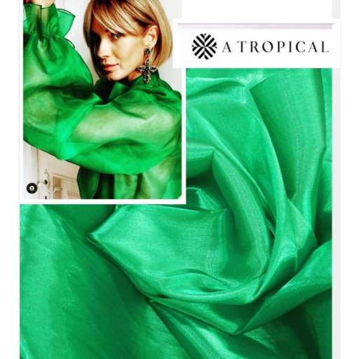 Comprar o produto de Tecido - Organza verde esmeralda em Bauru em Tecidos pela empresa A Tropical Tecidos  em Bauru, SP por Solutudo