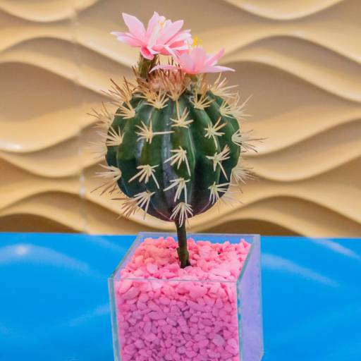 Festa de 15 anos da Cinderela por Sitio Imperial Itaborai