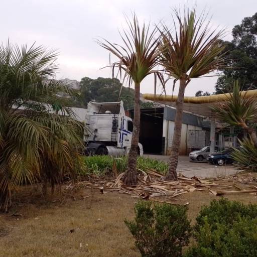 Posto de Combustíveis com área de 4.756 m². por Toledo Assessoria