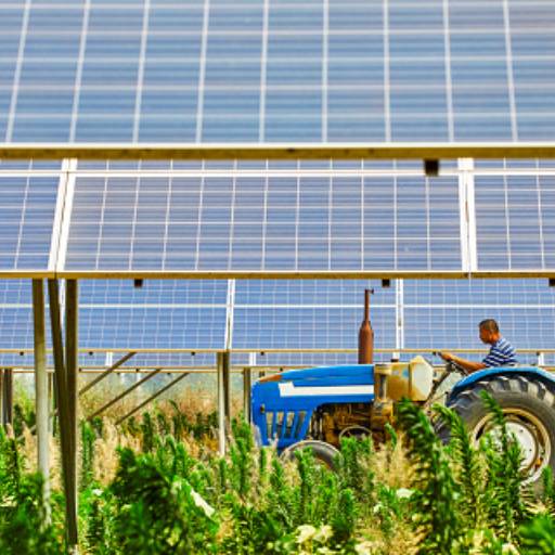 Energia solar para o agronegócio por Renova Energia Solar