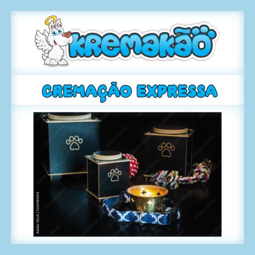 Comprar o produto de Cremação Expressa em Crematórios pela empresa Kremakão - Crematório de Pequenos Animais em Itapetininga, SP por Solutudo