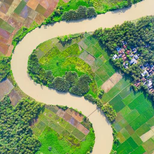 Planimetria por Solutudo