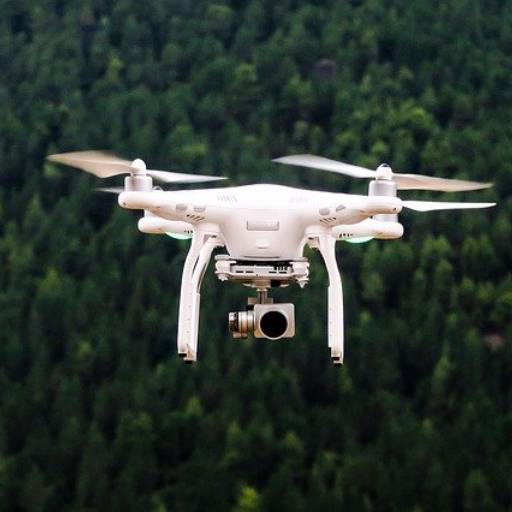 Aerolevantamento executado com drone por JNS Topografia