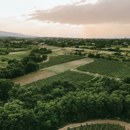 Regularização Fundiária – Segurança Jurídica e Conformidade em Sapiranga/RS por JNS Topografia