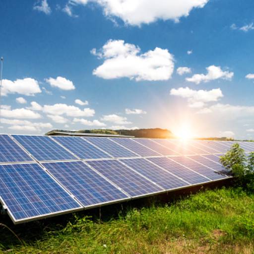 Energia solar para agronegócio por Tribo do Sol