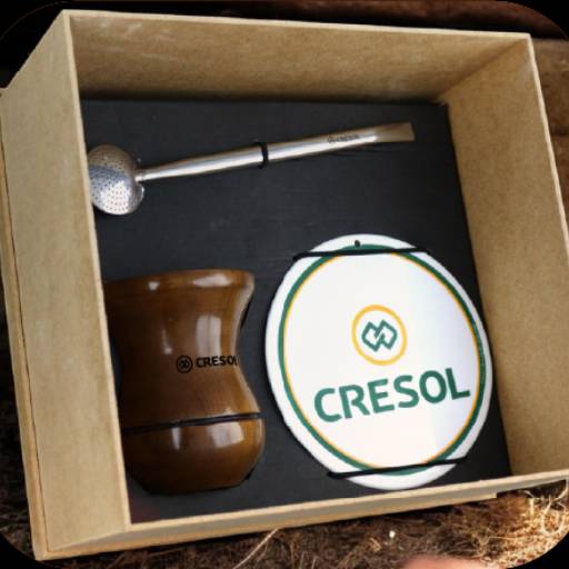 Kit Chimarrão Cuia Madeira