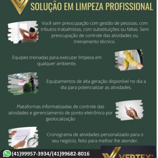 Limpeza Profissional 