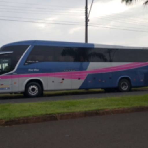 Comprar a oferta de Locação de ônibus em Lençóis Paulista  em Ônibus pela empresa 20Levar Transporte e Locação em Lençóis Paulista, SP por Solutudo