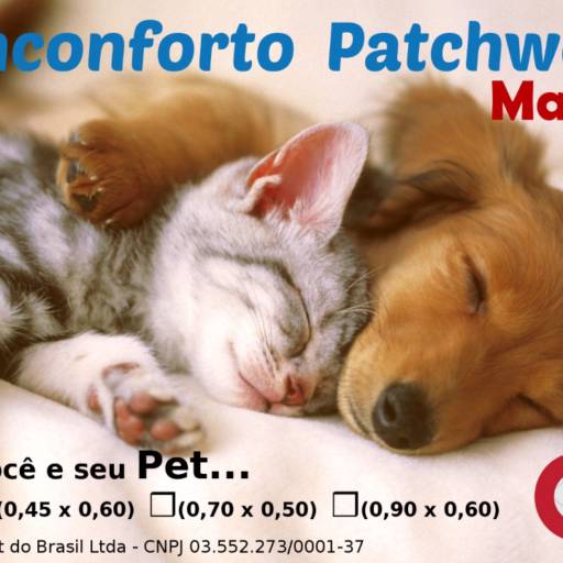 Kenconforto para seu Pet