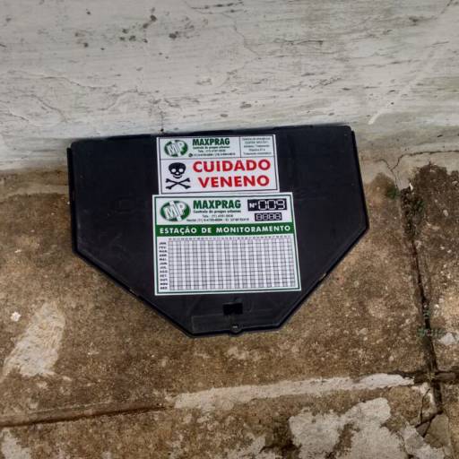 Desratização em Osasco