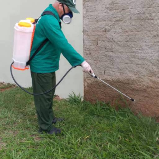 Controle de Escorpiões em São Bernardo do Campo 