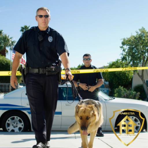 Segurança com cães 