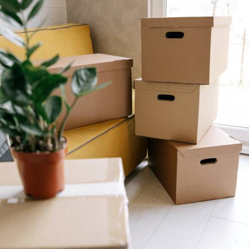 Fretes com Kombi por Divina mudança 