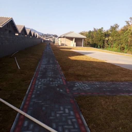 Piso Intertravado de Concreto para Calçada em Avaré  por Rei das Calçadas em Avaré