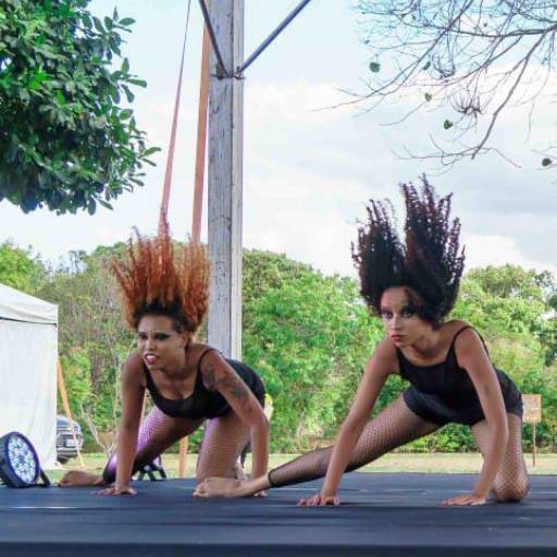Jazz Dance em Brasília, DF por Vidart Instituto de Dança