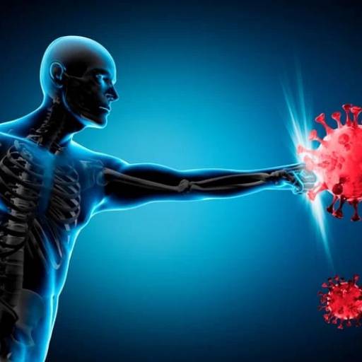 Sistema imunológico