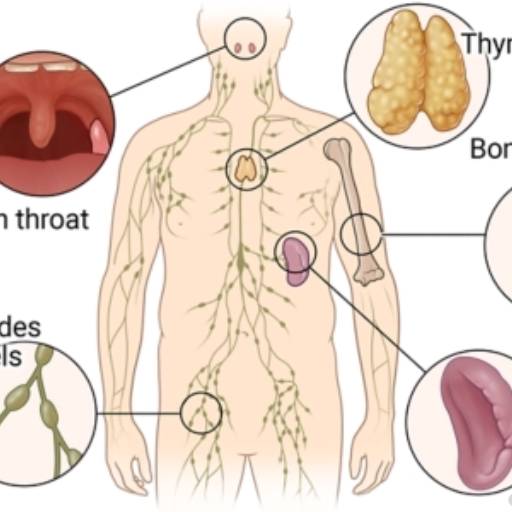 Componentes do sistema imunológico