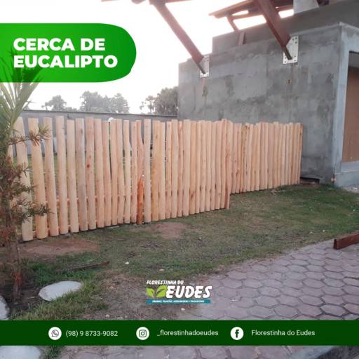 Cerca de Eucalipto