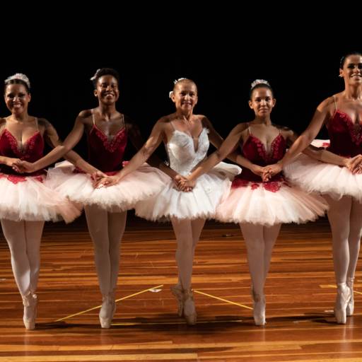 Ballet - Juvenil/adulto (do iniciante ás pontas) em Brasília, DF por Vidart Instituto de Dança