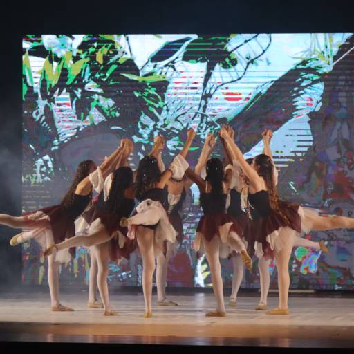 Ballet - Juvenil/adulto (do iniciante ás pontas) em Brasília, DF por Vidart Instituto de Dança