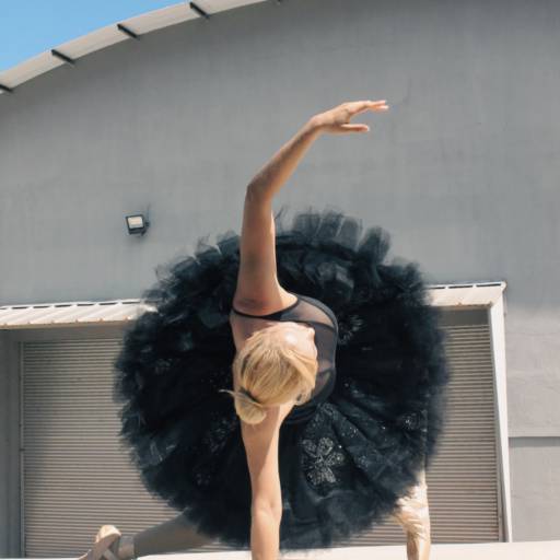 Ballet - Juvenil/adulto (do iniciante ás pontas) em Brasília, DF por Vidart Instituto de Dança