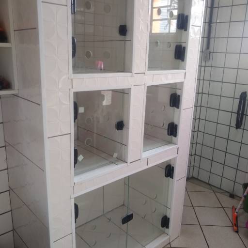 Comprar o produto de Porta de vidro para armário com divisórias em Vidro Temperado pela empresa APP Soluções - Vidros Temperados em São Manuel, SP por Solutudo