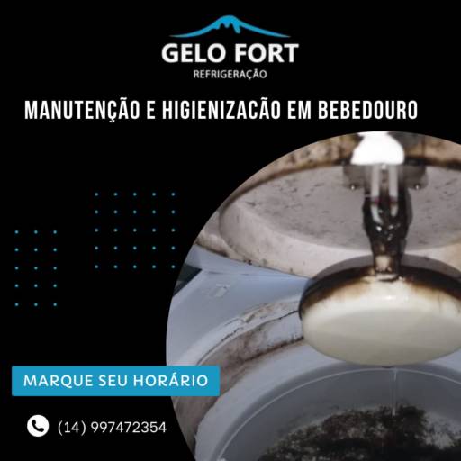 Manutenção e Higienização em Bebedouro por Gelo Fort Refrigeração