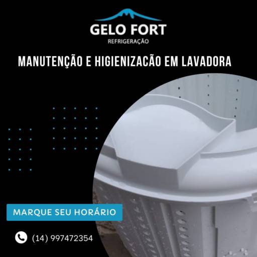 Comprar o produto de Manutenção e Higienização em Lavadora em Outros pela empresa Gelo Fort Refrigeração em Botucatu, SP por Solutudo