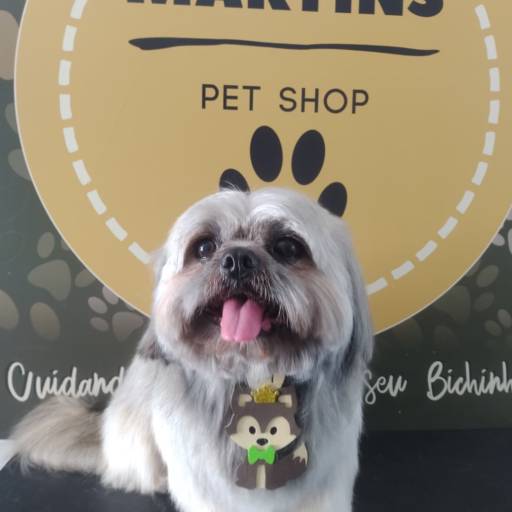 Banho em cachorro  por Martins Pet Shop