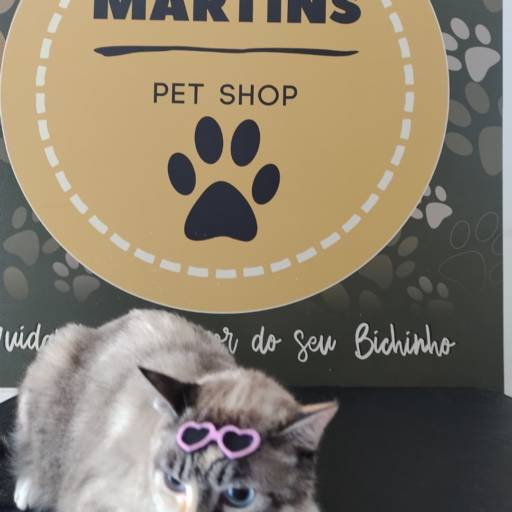 Comprar o produto de Banho em gato  em Banho e Tosa pela empresa Martins Pet Shop em Assis, SP por Solutudo