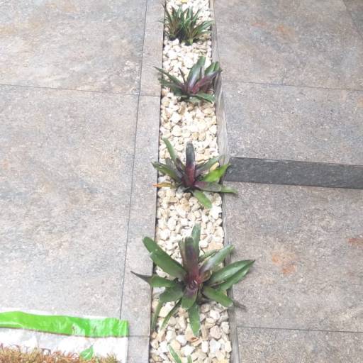 Serviço de revitalização em Jardim - Bauru por Visual Jardinagem Bauru