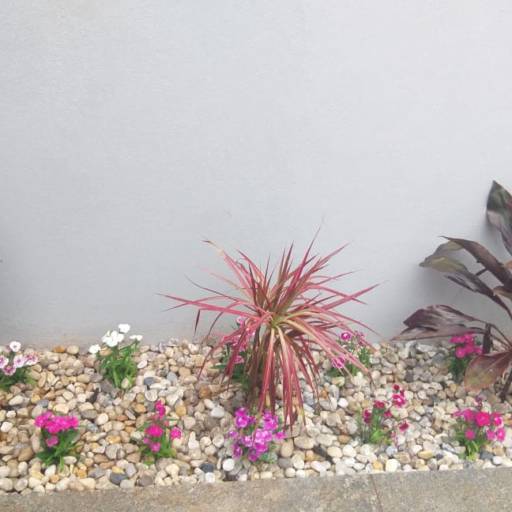 Serviço de revitalização em Jardim - Bauru por Visual Jardinagem Bauru