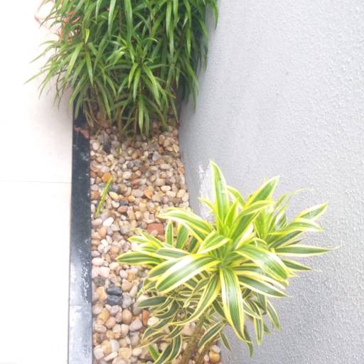 Serviço de revitalização em Jardim - Bauru por Visual Jardinagem Bauru