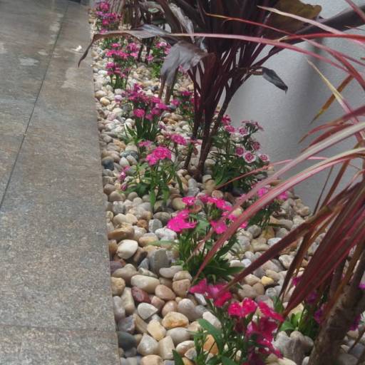 Serviço de revitalização em Jardim - Bauru por Visual Jardinagem Bauru