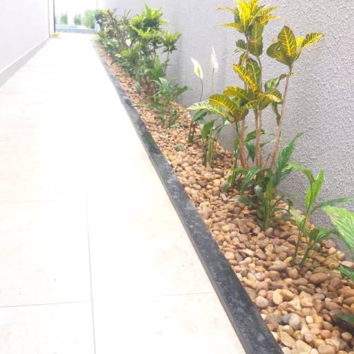 Serviço de revitalização em Jardim - Bauru por Visual Jardinagem Bauru