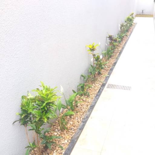 Serviço de revitalização em Jardim - Bauru por Visual Jardinagem Bauru